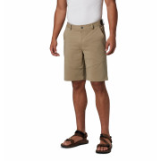 Pantalones cortos de hombre Columbia Tech Trail Short