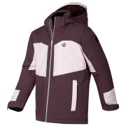 Chaqueta para niños Dare 2b Rip It Jacket Hucklbr/PkHz