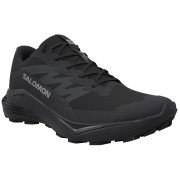 Calzado de mujer Salomon Alphaglide Gore-Tex