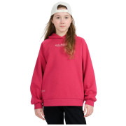 Sudadera para niños 4F Sweatshirt F1934