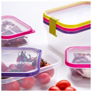 Caja de alimentos Omada Sanaliving Box Set 3x 24x16,5x8cm/2L