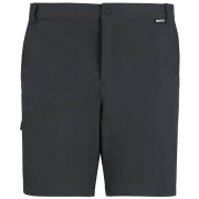 Pantalones cortos de hombre Regatta Anti-Insect Travel Light Shorts gris Ash