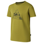 Camiseta para niños Dare 2b Amuse III Tee Goldn Cypress