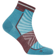 Calcetines de hombre Icebreaker Men Merino Run+ Ultralight Mini