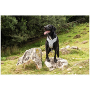 Arnés para perro Mountain Paws Reflective Dog Harness