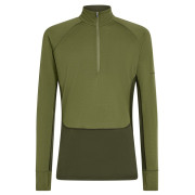 Camiseta funcional de hombre Icebreaker Men Mer 200 ZoneKnit LS Half Zip verde oscuro Dkloden/Spha/Cb