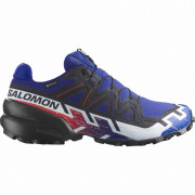 Calzado de hombre Salomon Speedcross 6 Gore-Tex Equipe