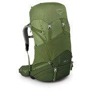 Mochila para niños Osprey Ace 75 verde venture green