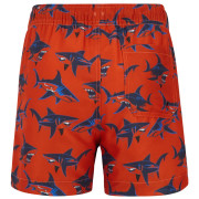 Bañador para niños Regatta Skander RusOranShark