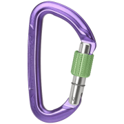 Mosquetón Wild Country Session Screw Gate violeta purple/green