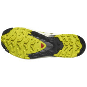 Calzado de senderismo para hombre Salomon Xa Pro 3D V9 Gore-Tex