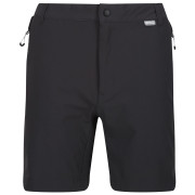 Pantalones cortos de hombre Regatta Mountain ShortsII M gris/negro Ash/Black