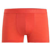 Calzoncillos bóxer para hombre Icebreaker M Anatomica Cool-Lite Trunks ladrillo Vibrant Earth