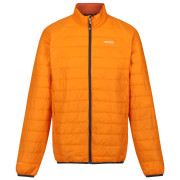 Chaqueta de hombre Regatta Hillpack naranja Orange Pepper(Burnt Copper)