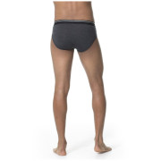 Calzoncillos de hombre Icebreaker Mens Anatomica Briefs