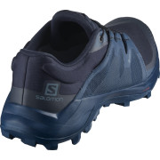 Calzado de hombre Salomon Wildcross GTX