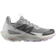 Calzado de mujer Salomon Elixir Activ W gris Sharkskin / Glacier Gray / Orchid Petal