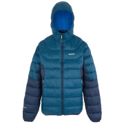 Chaqueta de hombre Regatta Hooded Dalent azul MnlgtDen/Nvy