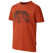 Camiseta para niños Dare 2b Trailbazer III Tee Arabian Spice