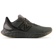 Calzado de hombre New Balance Fresh Foam Arishi v4
