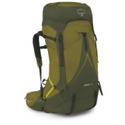 Mochila de senderismo Osprey Atmos Ag Lt 50 verde scenic valley/green peppercorn