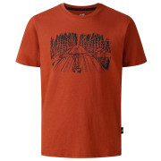 Camiseta para niños Dare 2b Trailbazer III Tee Arabian Spice marrón ArabianSpice