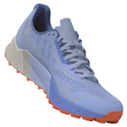 Calzado de mujer Adidas Terrex Agravic Flow 2 GTX W azul claro Bludaw/Blufus/Corfus