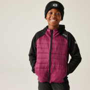 Chaqueta para niños Regatta Kielder Hybrid IX