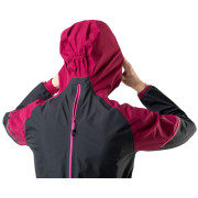 Chaqueta de mujer Dynafit Alpine Gtx W Jkt