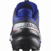 Calzado de hombre Salomon Speedcross 6 Gore-Tex Equipe