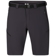 Pantalones cortos de hombre Direct Alpine Cruise Shorts 3.0 negro/gris anthracite