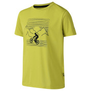 Camiseta para niños Dare 2b Amuse III Tee Frgle Sprout