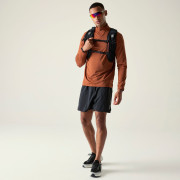 Camiseta funcional de hombre Dare 2b Power Up IV Jersey marrón ArabianSpice