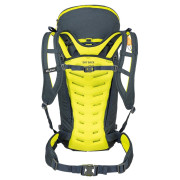 Mochila Salewa Apex Guide 35