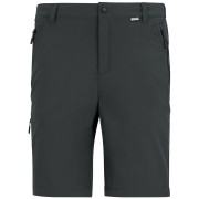 Pantalones de hombre Regatta Anti-Insect Travel Light Z/O Trousers