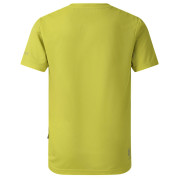 Camiseta para niños Dare 2b Amuse III Tee Frgle Sprout
