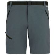 Pantalones cortos de hombre Regatta Xert Stretch Shorts gris Dark Storm