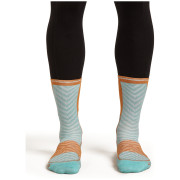 Calcetines de hombre Icebreaker Men Merino Run+ Ultralight Mini