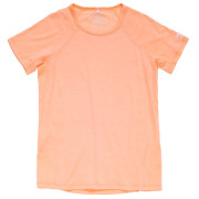 Camiseta de mujer Devold Endurance Merino 130 Tee Wmn rosa claro SUNRISE