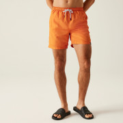 Pantalones cortos de hombre Regatta Mackleyna Swim Short