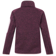 Sudadera para niños Regatta Junior Newhill Fig Powder Lilac