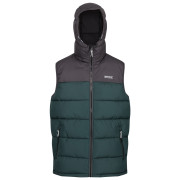 Chaleco de hombre Regatta Nevado B/W verde/gris DkGry/GrnGab