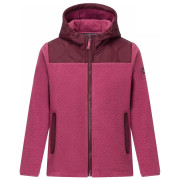 Sudadera para niños Regatta Myla Hybrid Jacket Fig/Violet rojo Fig/Violet