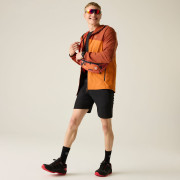 Chaqueta de hombre Dare 2b Torrek III Jacket