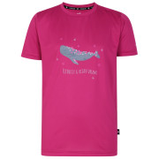 Camiseta para niños Dare 2b Amuse Tee rosa Fuchsia (07Z)