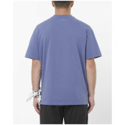 Camiseta de hombre Salomon Wild Rays Label SS Tee