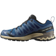 Calzado de senderismo para hombre Salomon Xa Pro 3D V9 Gore-Tex