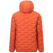 Chaqueta acolchada para hombre Regatta Astrel