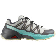 Calzado de mujer Salomon Speedcross Peak gris/azul Icicle / Castlerock / Aruba Blue