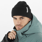 Gorro Salomon Snowbird Beanie U